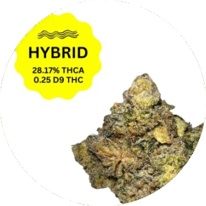 Flowers-Hybrid